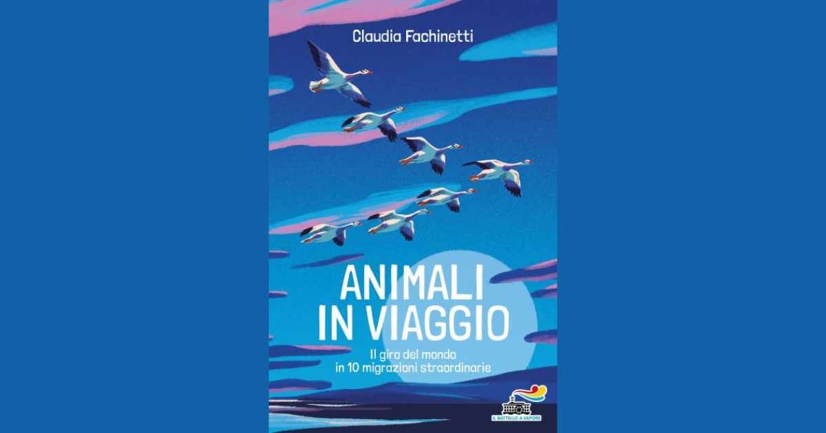 Animali in viaggio di Claudia Fachinetti